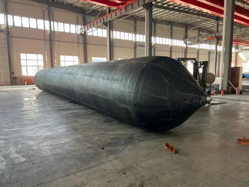 Ринок Південно-Східної Азії: морські надувні крила Sunkai відправлені до Сінгапуру